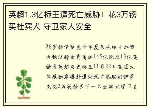 英超1.3亿标王遭死亡威胁！花3万镑买杜宾犬 守卫家人安全